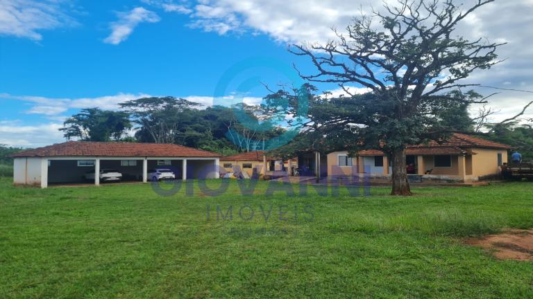 FAZENDA - Entre Araraquara e gavião Peixoto - Araraquara - Gavião Peixoto